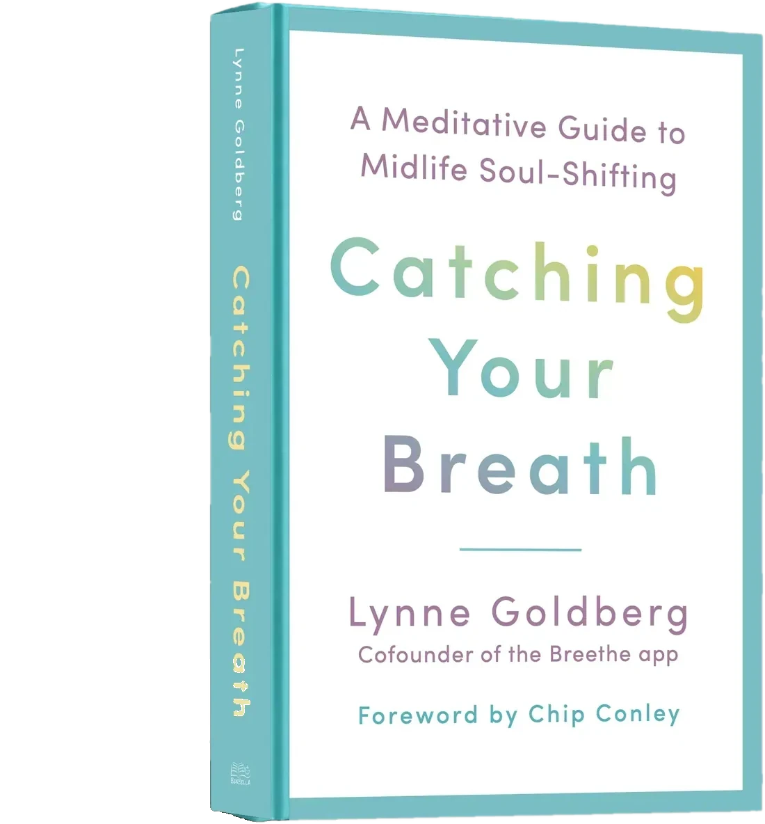 Catching Your Breath by Lynne Goldberg, standing book mockup